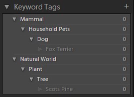 Lightroom Keyword List shown expanded