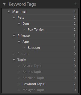 lightroom_reimport_keyword_list_2 (16K)