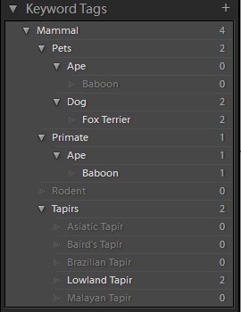 lightroom_reimport_keyword_list_6 (18K)